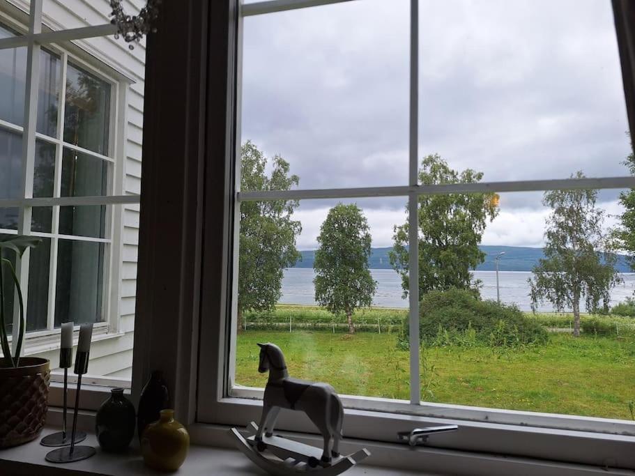 Privat Leilighet Pa Gard Med Badstue Og Nordlys ナルヴィク エクステリア 写真