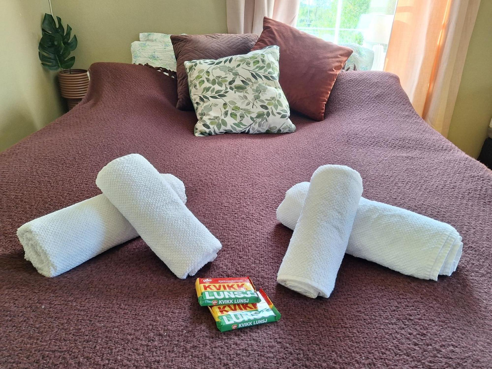 Privat Leilighet Pa Gard Med Badstue Og Nordlys ナルヴィク 部屋 写真